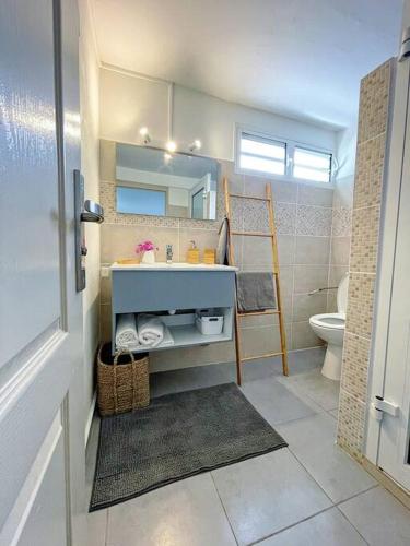 uma casa de banho com um lavatório e um WC em Villa le Cotonnier Lodge em Saint-François