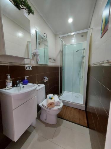 a bathroom with a toilet and a shower and a sink at Sleeping Sarria in Sarria