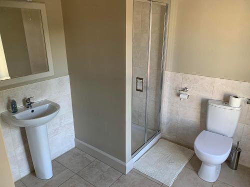 een badkamer met een wastafel, een toilet en een douche bij Cuckoos Corner in Teach Munna