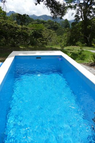 a swimming pool with blue water in a yard at Casitas Vista Verde in Bajo Boquete