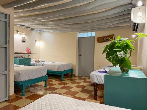 Una cama o camas en una habitación de Hostel Candelaria
