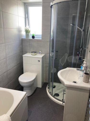 La salle de bains est pourvue de toilettes, d'une douche et d'un lavabo. dans l'établissement Cozy & Spacious home In the heart of Snowdonia, à Llanddeiniolen