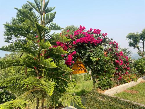 Jardín al aire libre en Himalaya Serene View Guest House & Farm Stay