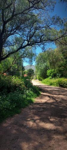 a dirt road with a tree hanging over it at Sol y Monte in Capilla del Monte