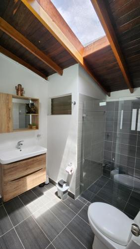 a bathroom with a shower and a toilet and a sink at apartamento en ENVIGADO in Envigado