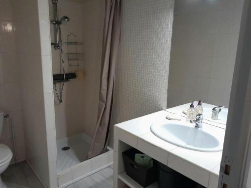 a bathroom with a sink and a shower and a toilet at Appartement T1 bis tout confort, proche plages et commerces, Capbreton - FR-1-239-954 in Capbreton