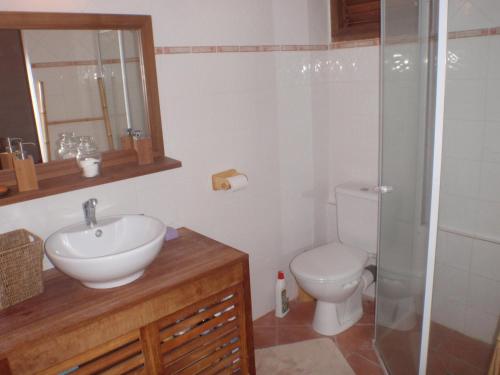 Koupelna v ubytování villa bois style créole