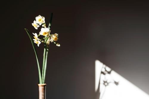 a vase with a bunch of flowers in it at Nipponia 甲佐 疏水の郷 in Kosa
