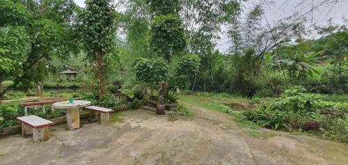 a picnic table in the middle of a forest at Mận Homestay - Lục Yên Homestay and Tour in Lục Yên