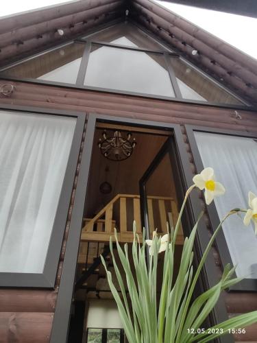 a front door of a house with a potted plant at Rocky Views in Stepantsminda