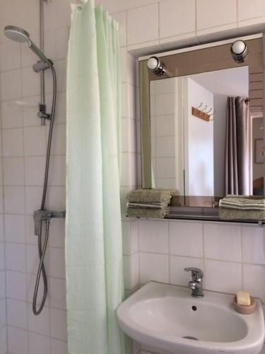 La salle de bains est pourvue d'un rideau de douche et d'un lavabo. dans l'établissement Nuitée Naturopathique, à La Rochelle