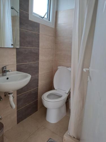 uma casa de banho com um WC e um lavatório em Evridiki Apartments em Mesongi