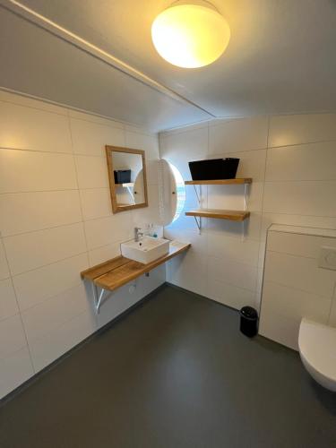 a bathroom with a sink and a mirror at Penthouse DeLuxe in Oostkapelle