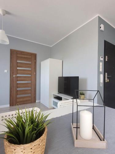 a living room with a television and a table with a plant at Apartament Słowińców 32 in Wejherowo