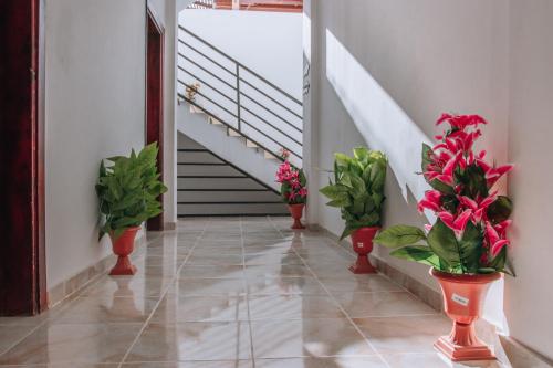 un couloir avec des plantes en pot en vases rouges dans l'établissement Swiss Royal DAHAB, à Dahab