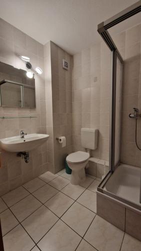 W łazience znajduje się toaleta, umywalka i prysznic. w obiekcie Haus Schmidt w mieście Alt Bukow