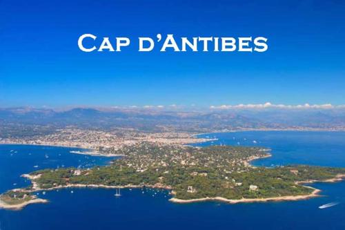 Studio Cap d'Antibes Vue Mer Exceptionnelle