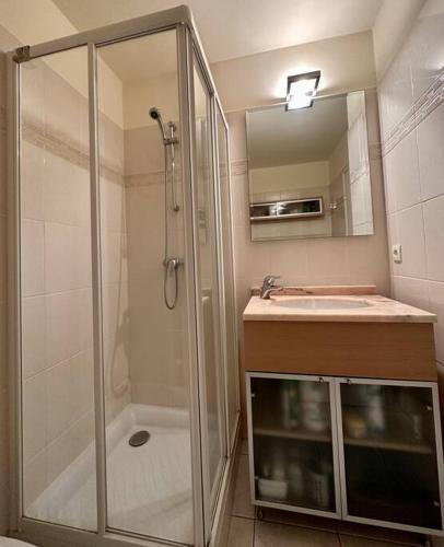 une salle de bain avec une douche, un lavabo et un miroir dans l'établissement Studio Cap d'Antibes Vue Mer Exceptionnelle, à Antibes