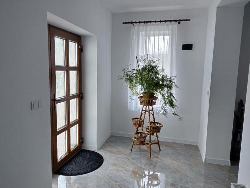 Gambar di galeri bagi TSG Apartaments di Valea lui Mihai