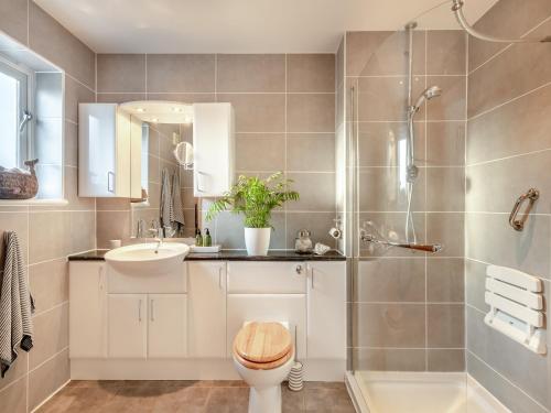 a bathroom with a shower and a toilet and a sink at Pear Tree Cottage in Southburgh