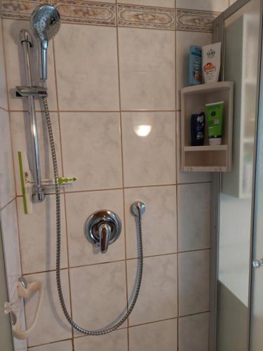 y baño con ducha con cabezal de ducha. en urige gemütliche Ferienwohnung 64 m2 in Dielheim, Nähe Heidelberg, en Dielheim