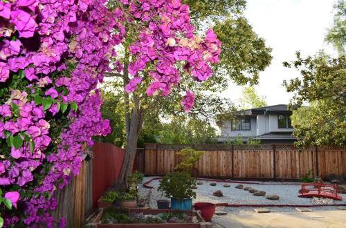 Κήπος έξω από το Palo Alto 1 Bedroom Near Stanford University