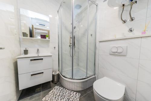 e bagno con doccia, servizi igienici e lavandino. di Studio Apartment Kastel Star a Kaštela (Castelli)