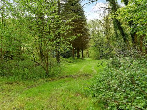 a path through a forest with trees and grass at Goitre Farmhouse in Llanwrda