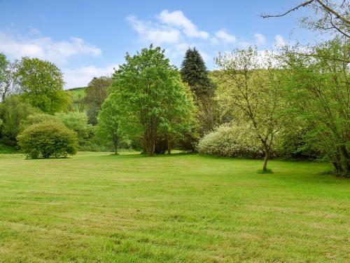 a large grassy field with trees and bushes at Goitre Farmhouse in Llanwrda