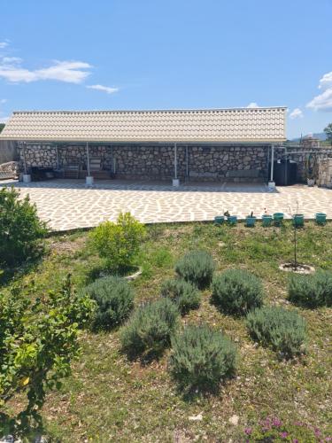 a garden with plants in front of a building at Iris Villas in Spárton