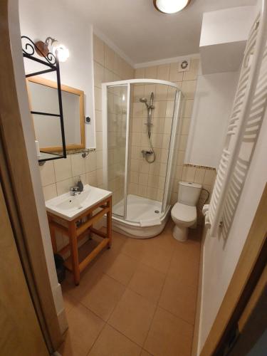 a bathroom with a shower and a toilet and a sink at Przystanek Tleń in Tleń