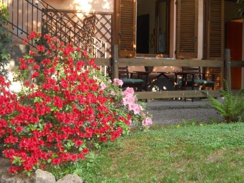 a bunch of red flowers in front of a house at B&B il Cortile Malpensa in Casorate Sempione