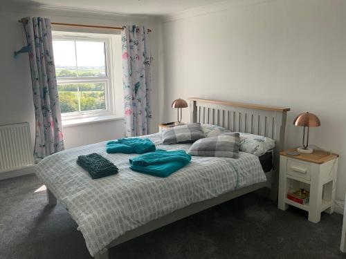 a bedroom with a bed with two pillows and a window at Burrow Park Farmhouse in Port Isaac