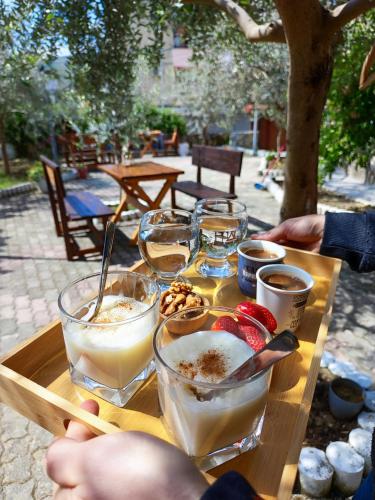 Imagen de la galería de Elvish Garden Boutique B&B, en Berat