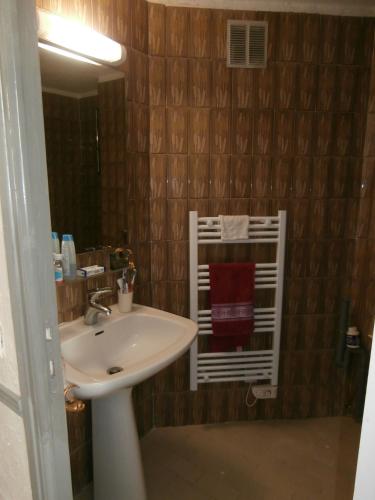 une salle de bain avec un lavabo et un miroir dans l'établissement Studio Climatisé dans villa bourgeoise, à Nice