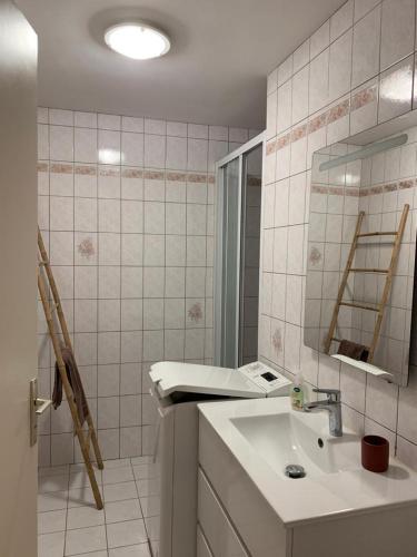 une salle de bain avec un lavabo et un miroir dans l'établissement Gîte du Triskell Le Domaine de Coat Rogan, à Pommerit-Jaudy