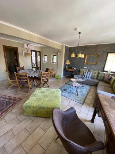 a living room with a couch and a table at Villa Aurelia Old Town in Kavala