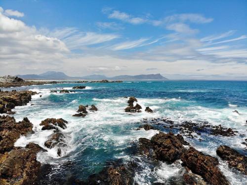 a group of people on the rocks in the ocean at Bungalow by the sea near Cape Town in Kleinmond
