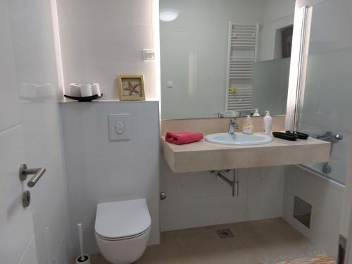 Apartment Irena-Pula Marina tesisinde bir banyo