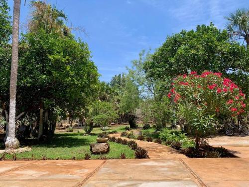 a park with trees and flowers and a pathway at Surrounded by Cenotes, Mayan sites and Haciendas in Seyé