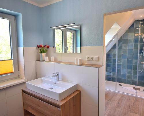 a bathroom with a sink and a mirror at Am Hof 4 in Staberdorf