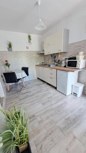 Kuchyňa alebo kuchynka v ubytovaní Apartmani Mirko Rovinj