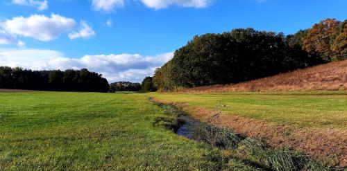 a grassy field with a stream in the middle at Berg Apartments in Oberreichenbach