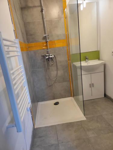 a bathroom with a shower and a sink at Chambres hôtes de la Motte-Fanjas 
