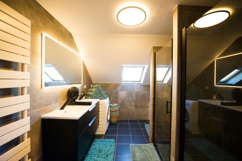 a bathroom with a sink and a mirror at BIG MAMA with Aircon ,free parking in Colmar