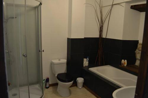 une salle de bain avec une douche, des toilettes et un lavabo dans l'établissement Lovely Renovated Cottage in Puivert, à Puivert