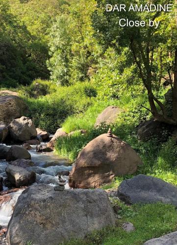 a river with rocks and trees and a sign that reads car insurance close by at Dar Amadine in Imlil