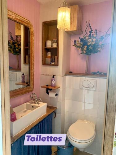 une salle de bain avec toilettes, lavabo et miroir dans l'établissement Gîte Chambre de la Tante Camille - Les Filles Tresy, à Passenans