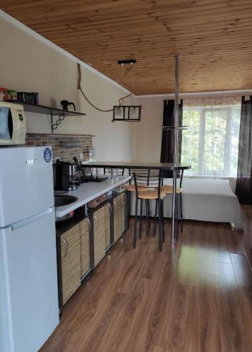 a kitchen with a refrigerator and a table in it at Guest House Odessa Sea in Odesa