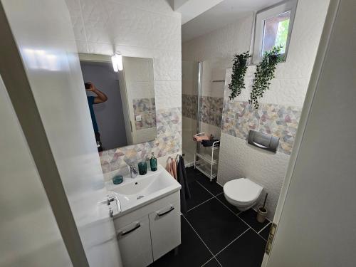 La salle de bains est pourvue d'un lavabo, de toilettes et d'un miroir. dans l'établissement APARTMA FIREFLY1, à Ljubljana
